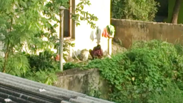 रेडहेड सनी लियोन सेक्सी मूवी पिक्चर वेश्या इस बीबीसी दूध
