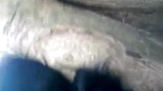गंदा आबनूस वेब कैमरा मूवी सेक्सी ब्लू पिक्चर