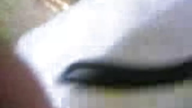 शौकिया त्रिगुट हिंदी पिक्चर सेक्सी मूवी