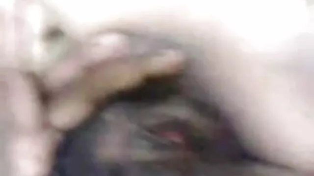 दो किशोर एक गर्म संवर्धन का आनंद लेते मूवी पिक्चर सेक्सी वीडियो हैं