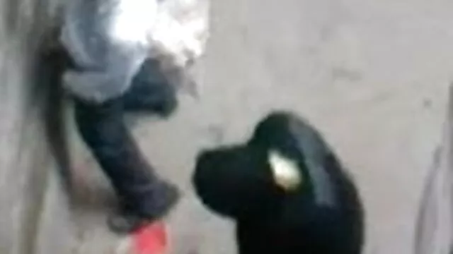 पकड़े गए न्यूड बीच सेक्सी पिक्चर मूवी हिंदी में कपल