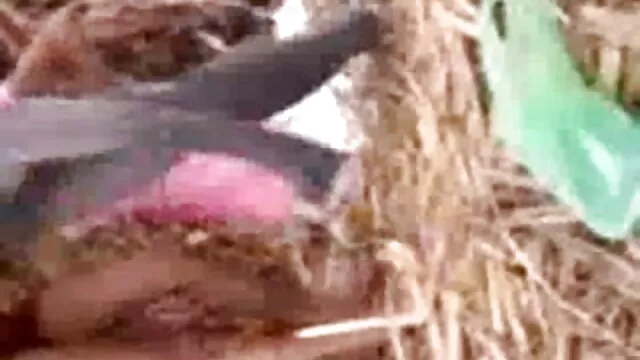 प्रस्तुत milf एरिका गड़बड़ (Milfs और अंग्रेजी पिक्चर सेक्सी मूवी माताओं)