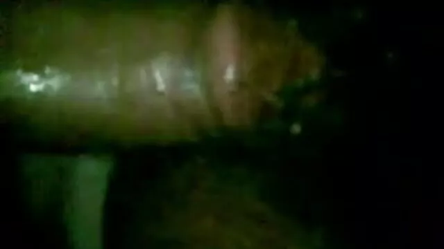 BitchNr1: सेक्सी मूवी हिंदी पिक्चर बिट्टे फिक मिच