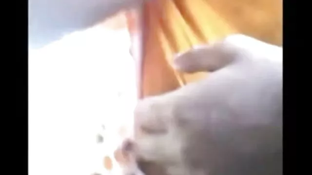 एशियाई सामना करना पड़ रहा न्यू सेक्सी मूवी पिक्चर है