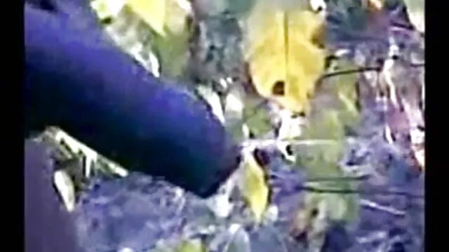 नकाबपोश भारतीय युगल सेक्सी पिक्चर मूवी