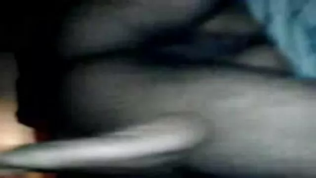 संचिका रेड सेक्सी पिक्चर वीडियो हद मूवी इंडियन बेब कमबख्त