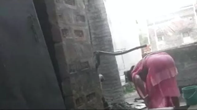 कार्टून न्यू सेक्सी मूवी पिक्चर