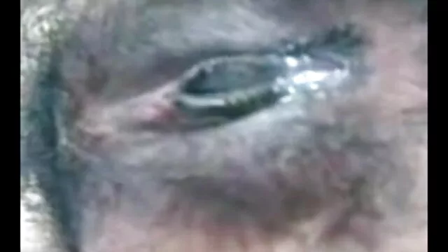 केटी के ब्रिटिश फूहड़ पिक्चर मूवी सेक्सी