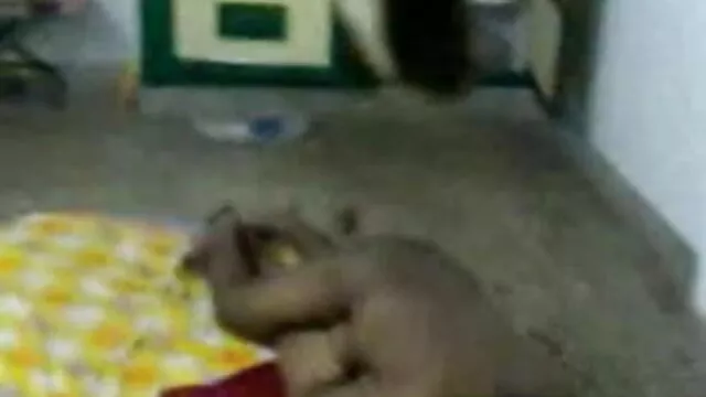 ब्रेज़िल से सेक्सी पिक्चर मूवी चाहिए BECCA BAY