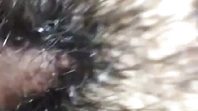 कपड़े उतार कर सेक्सी ब्लू पिक्चर फुल मूवी एचडी जाँच