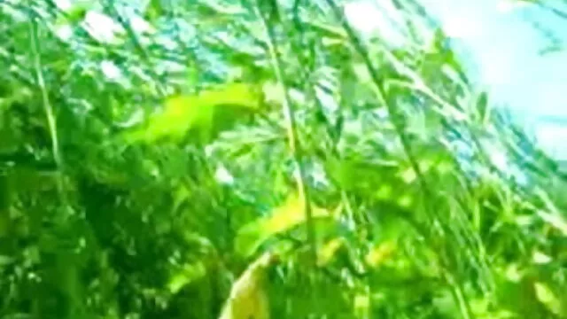 उसकी चीनी पिताजी सेक्सी इंग्लिश मूवी सेक्सी इंग्लिश मूवी बकवास