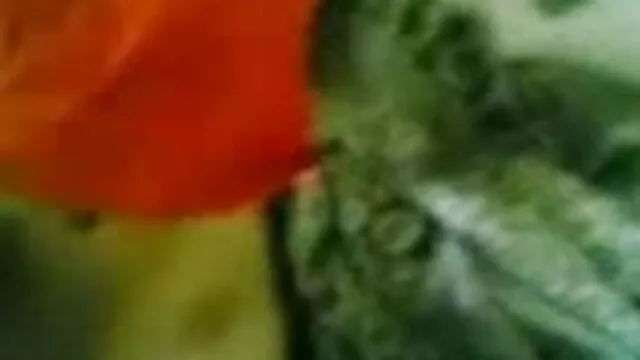 चश्मे में लड़की उसके आदमी मुर्गा बेकार है तो चेहरे लेता है मूवी सेक्सी पिक्चर
