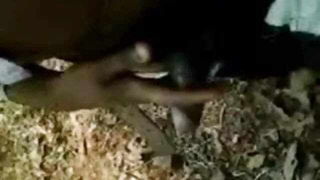 जॉय ५ हिंदी सेक्सी मूवी पिक्चर फिल्म