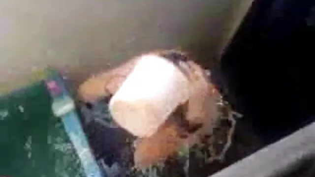 आबनूस शौकिया बकवास और मुर्गा सेक्स पिक्चर फुल मूवी बेकार है