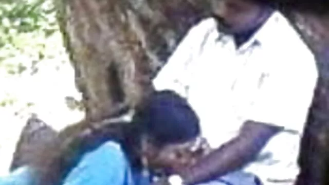 बड़े फुल एचडी सेक्स फिल्म पैमाने पर तरबूज उसके शहद को इतना मीठा बनाते हैं